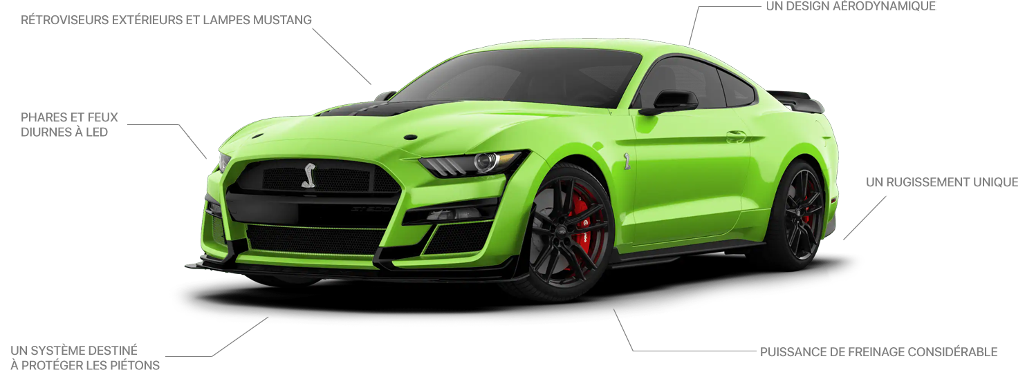 Photo Mustang GT cobra vue d'avant